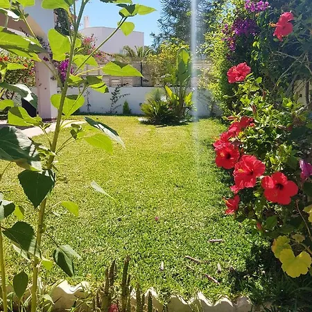 Spacious House With Private Pool In Vera, 420 Sqm Holiday home Vera
